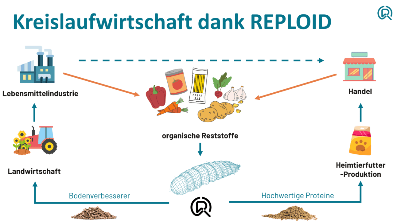 L'économie circulaire avec REPLOID.